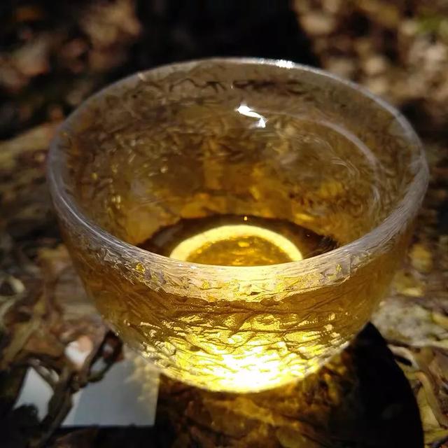 普洱茶老黄片，你懂多少？