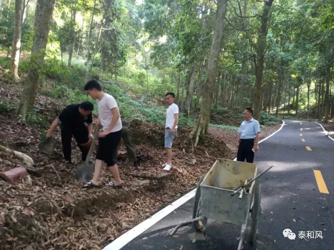 新时代文明实践工作动态,新时代文明实践活动特色