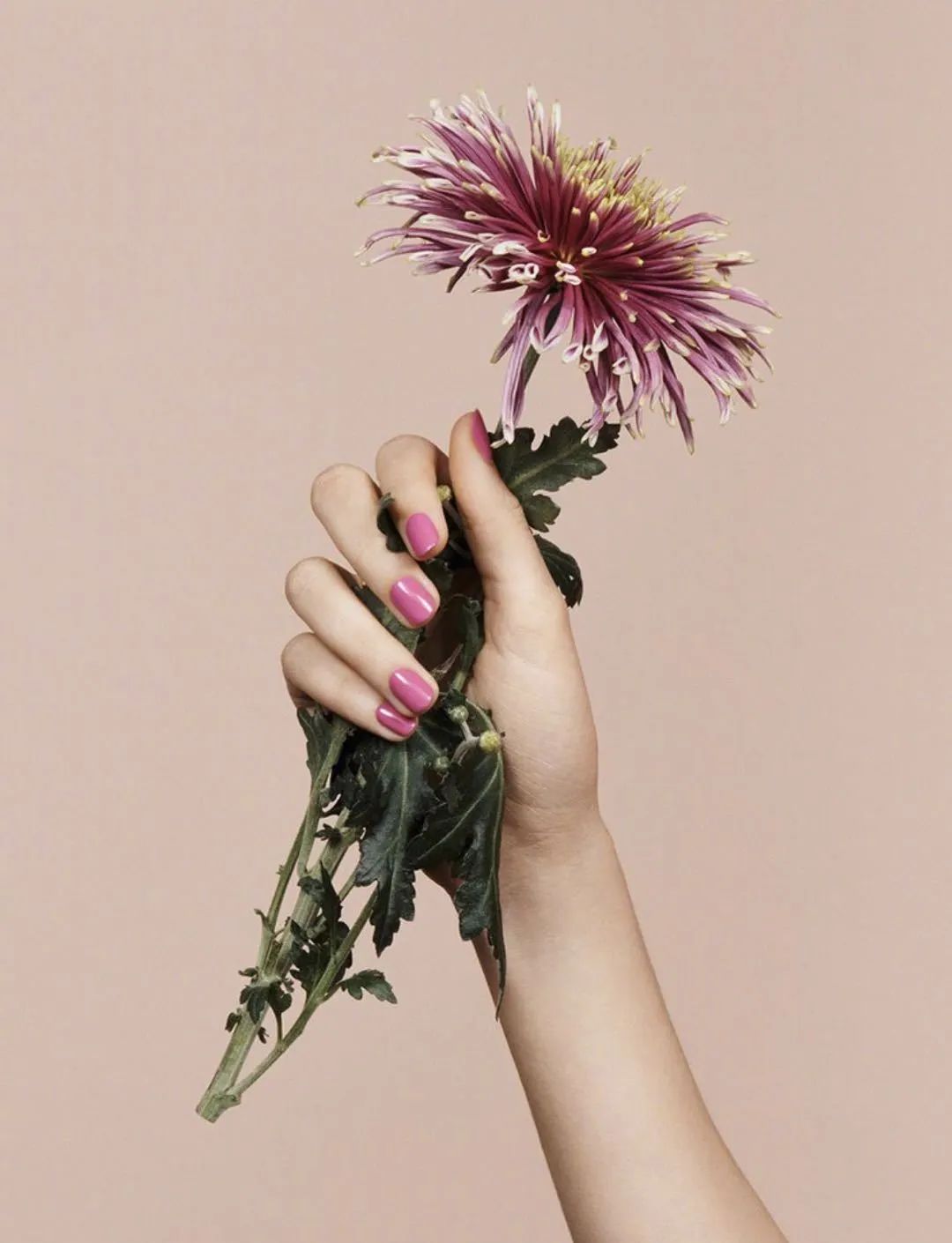 花事未了|15款绝美花器，把春天带回家～