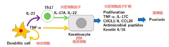 银屑病患者饮食和健身,银屑病忌口全集