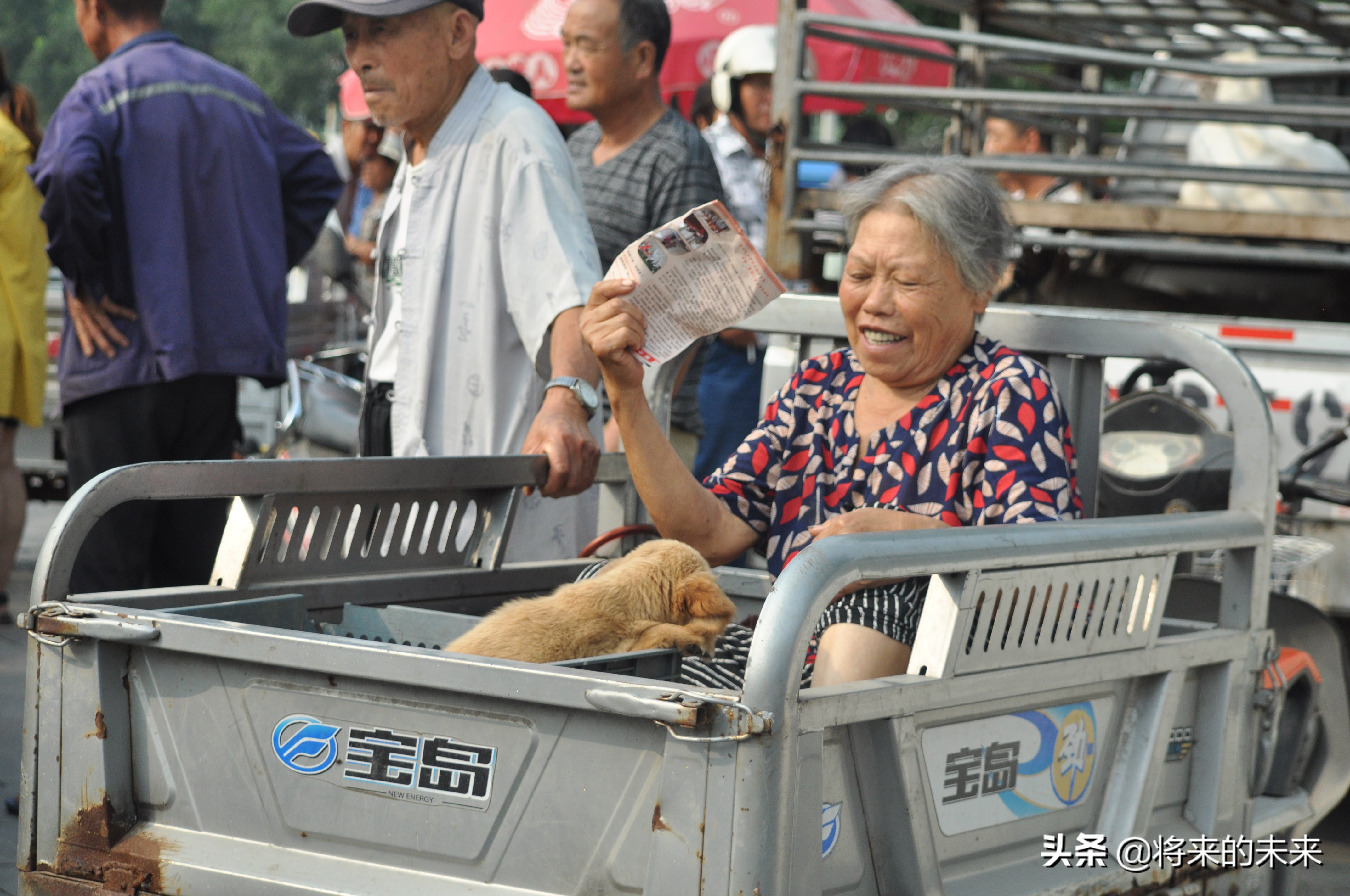 宠物市场买到假狗,去宠物市场淘狗多少钱