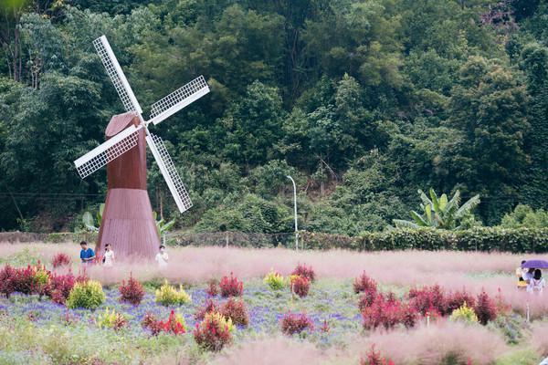 来大山里呼吸负氧离子,肇庆龙潭生态瀑布