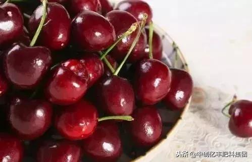 大棚樱桃从升温到成熟需要多少天,樱桃果树品种与成熟时间