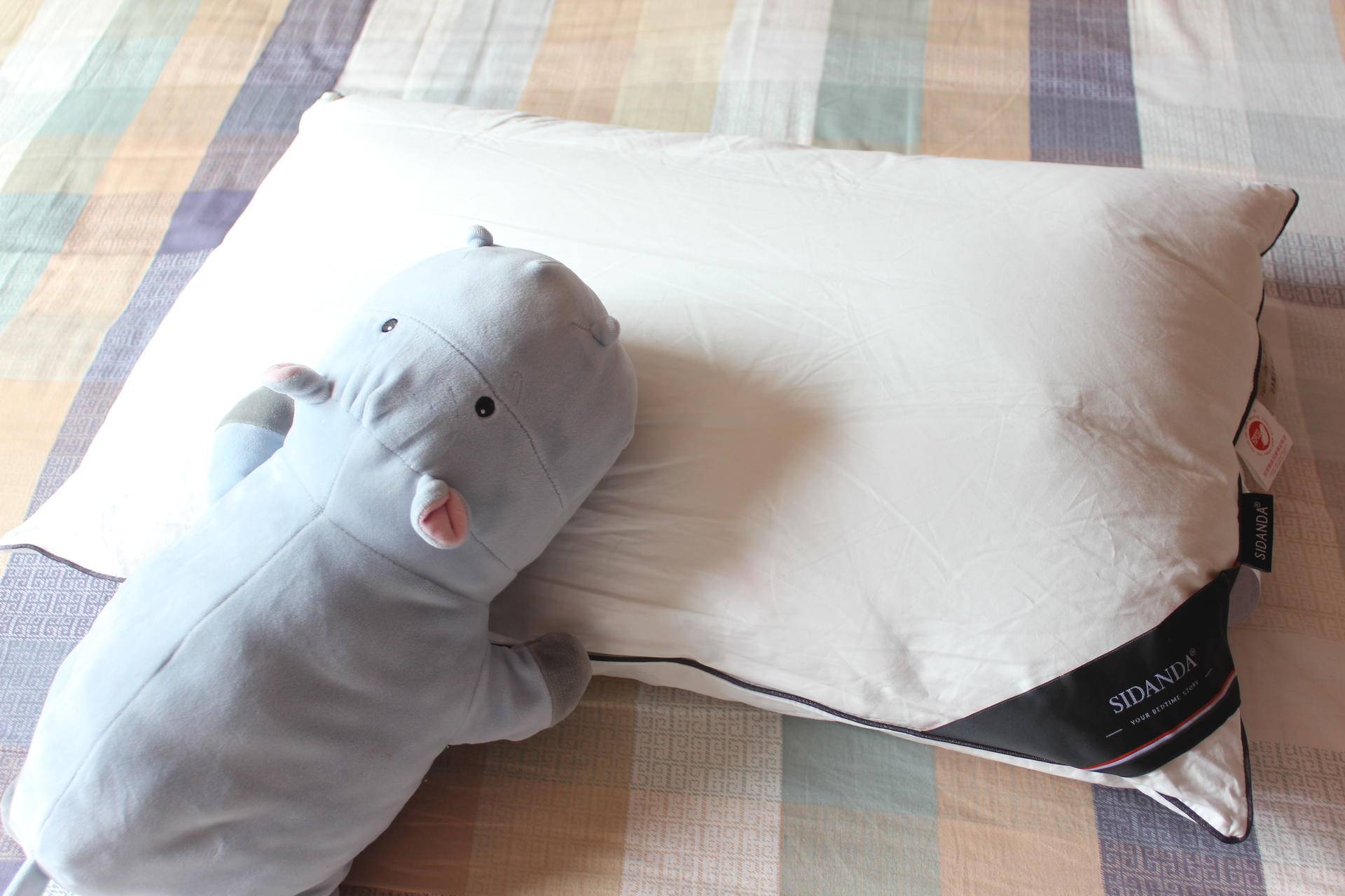 俗话说高枕无忧枕头是越高越好吗,枕头选什么材质的睡得舒服又健康