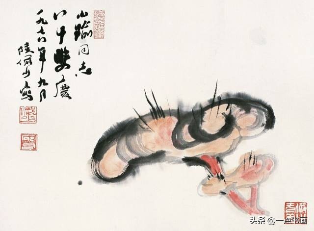 灵芝的寓意和象征花语,灵芝的寓意和功效