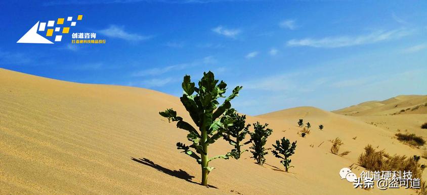 “华西村”布局光通信，天下第“一村资本”渐行渐远？