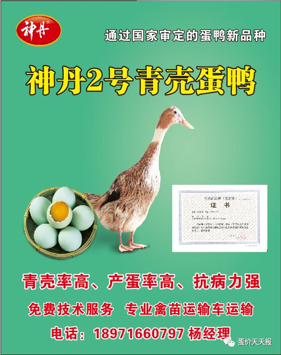 2019年1月24号全国鸭蛋价格,2022年4月12日鸭蛋价
