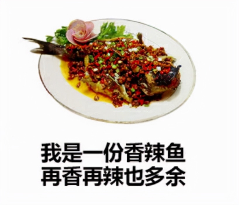 怎么选一款合适自己的cpu,怎么样选择自己适合的cpu