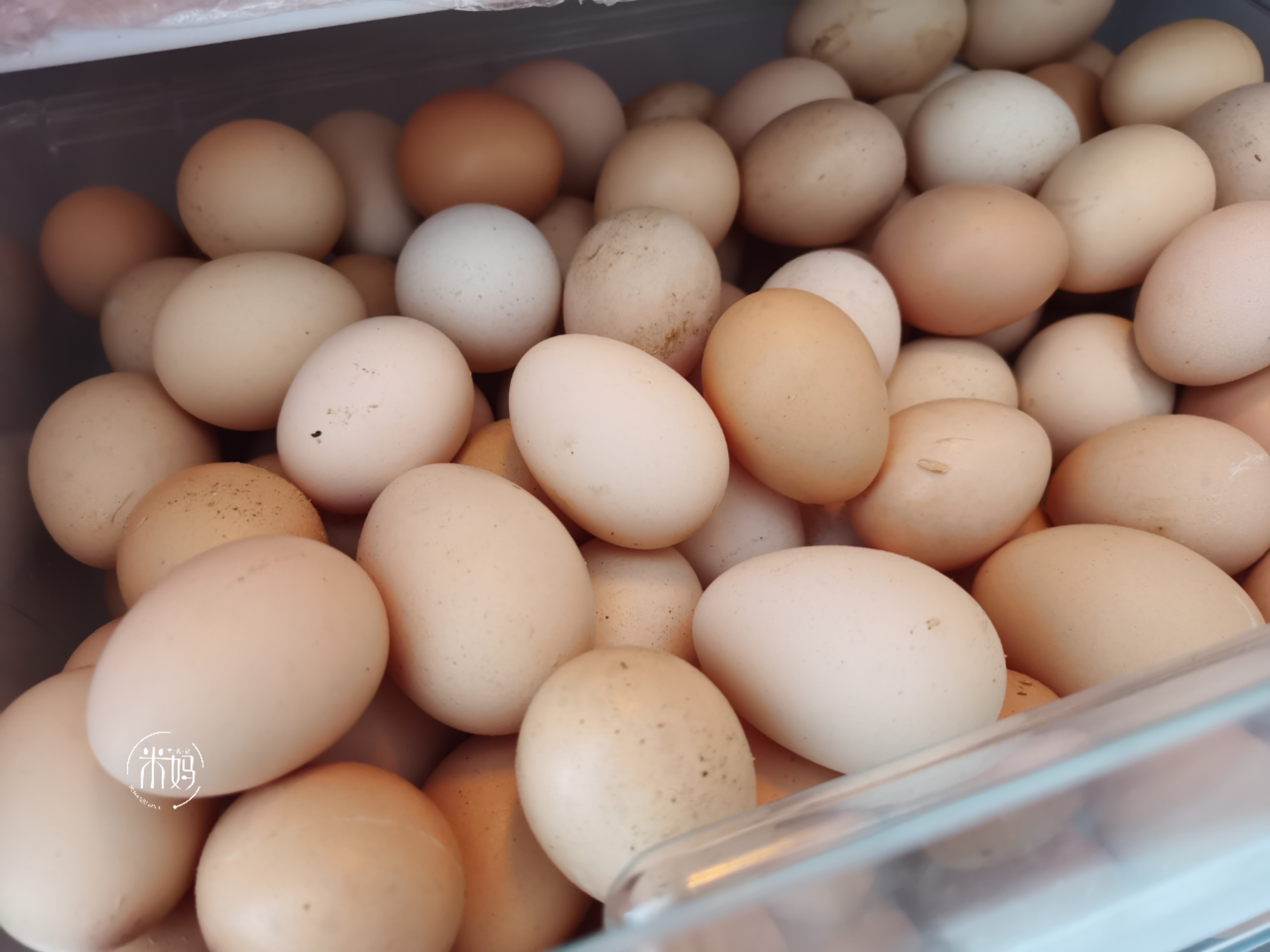 宅家不出门半个月了,宅家不出门做点好吃的