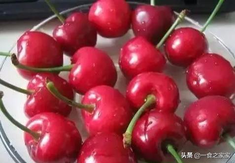 樱桃里有虫吗还有什么水果有虫害,吃樱桃的虫子有哪些