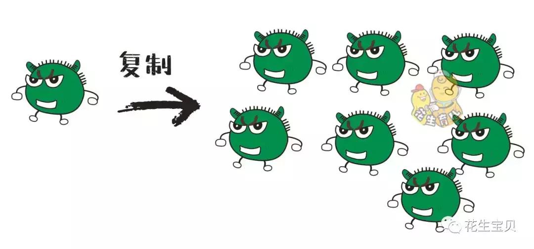 手足口疾病预防知识,手足口疾病预防方法
