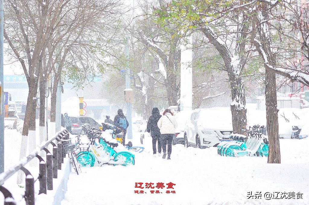 为什么下大雪适合吃铁锅炖大鹅,没有一只鹅能活着离开东北