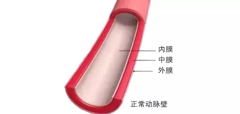 冠心病室性早搏治疗药物,冠心病常用的药物治疗有哪些