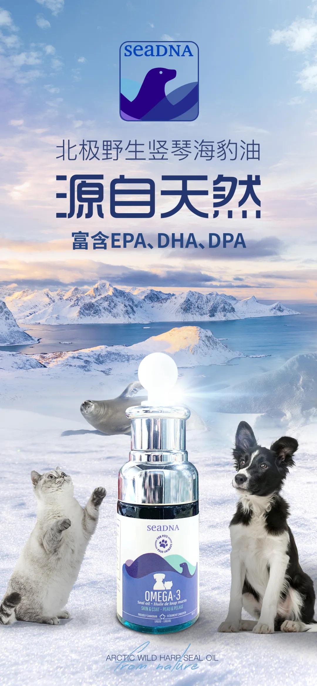天奇贸易海豹油,加拿大seadna海豹油