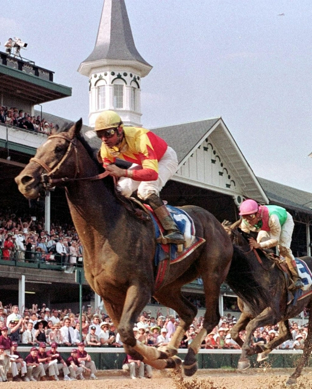 最昂贵的动物,世界上最昂贵的十种动物有哪些