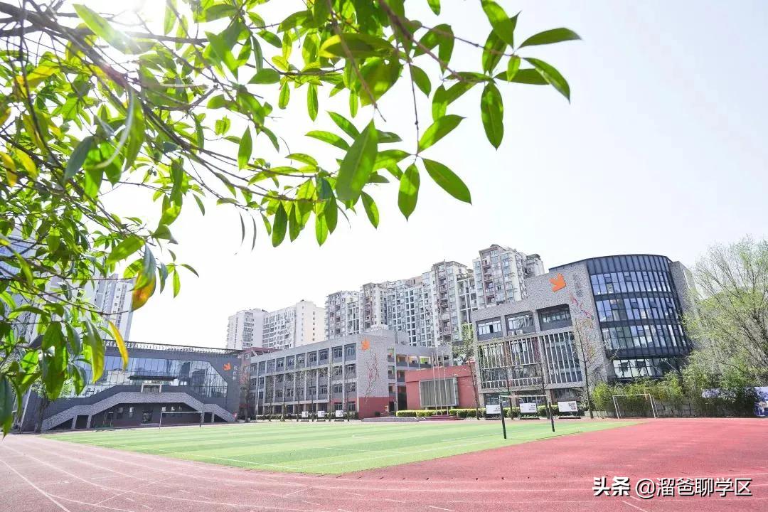 石笋街和茶店子小学怎么选,茶店子小学vs石笋街小学选哪个