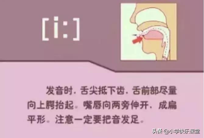 48个国际音标的发音口型视频图,英语48个音标发音口型视频