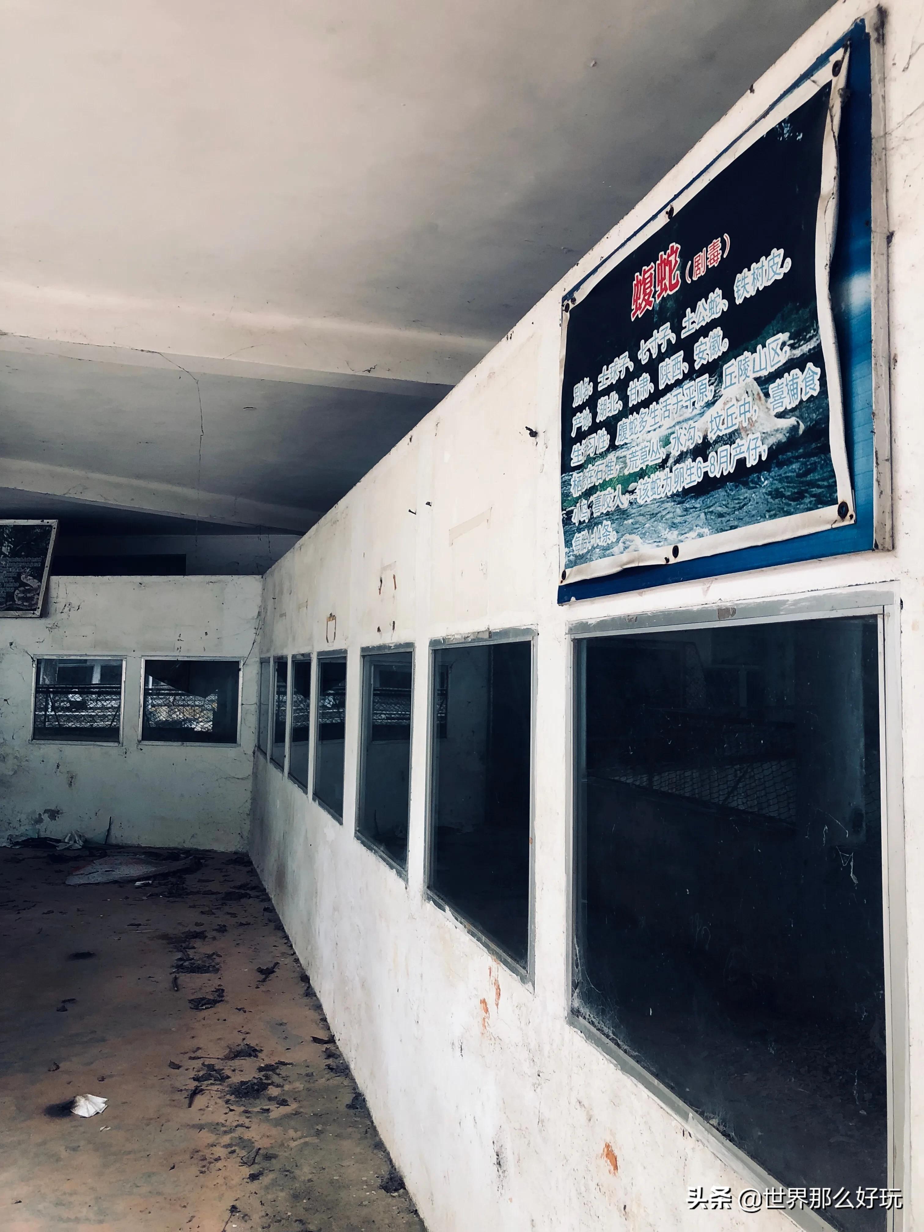 海南金牛岭动物园视频,海口金牛岭公园现在还有动物园吗