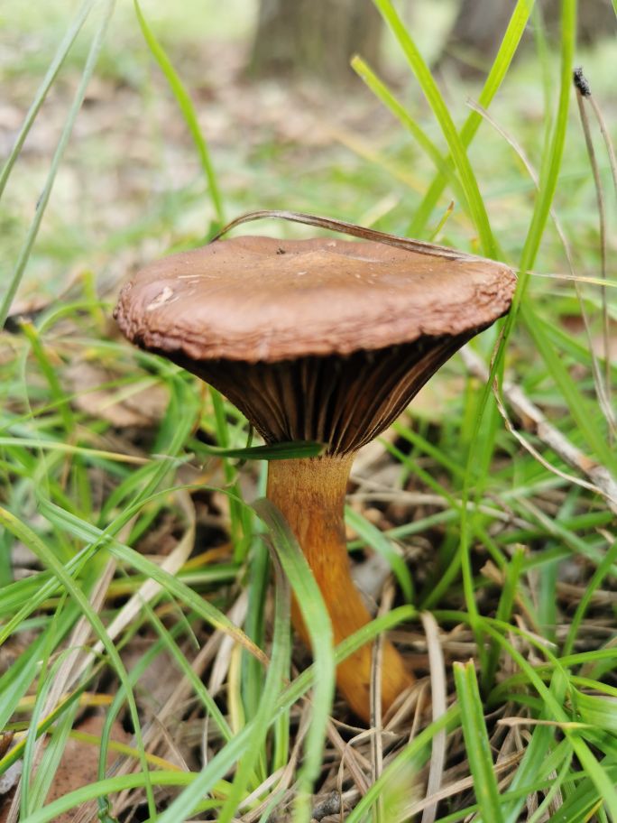 康平周边五一自驾游免费景点攻略,康平县夏季旅游