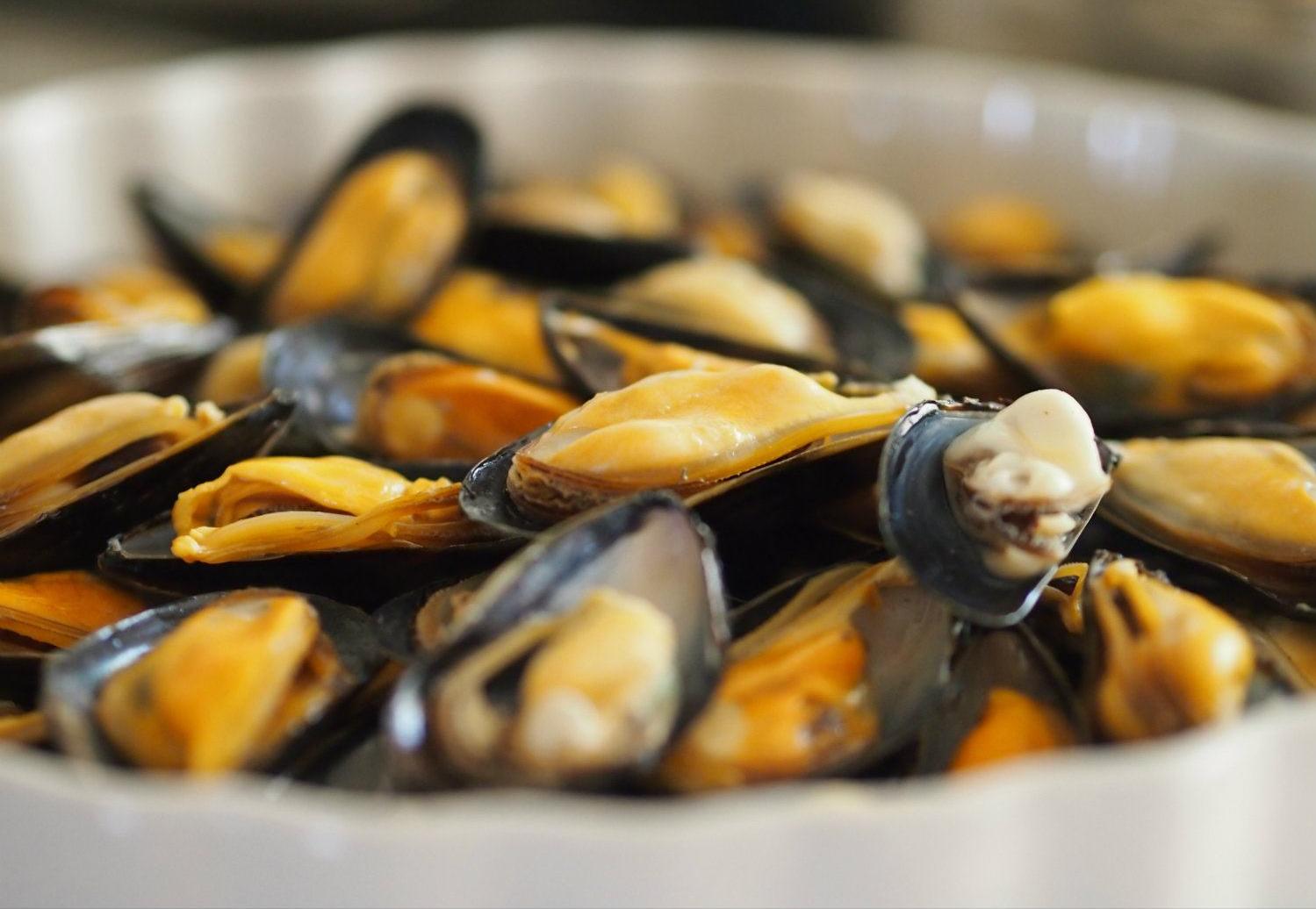 希腊美食攻略全部,希腊美食全集视频