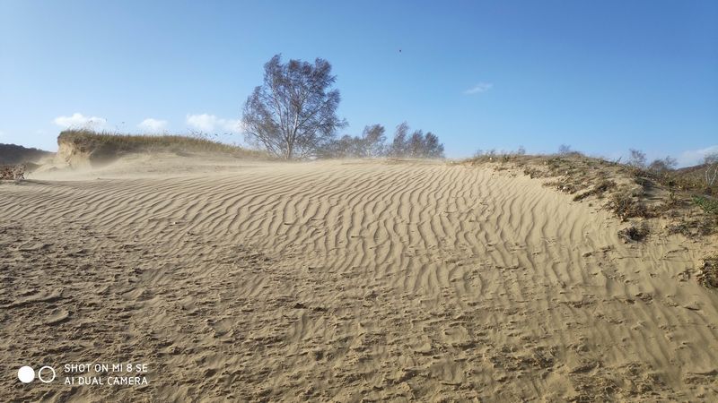 国庆节乌兰布统草原怎么样,乌兰布统草原之旅近期