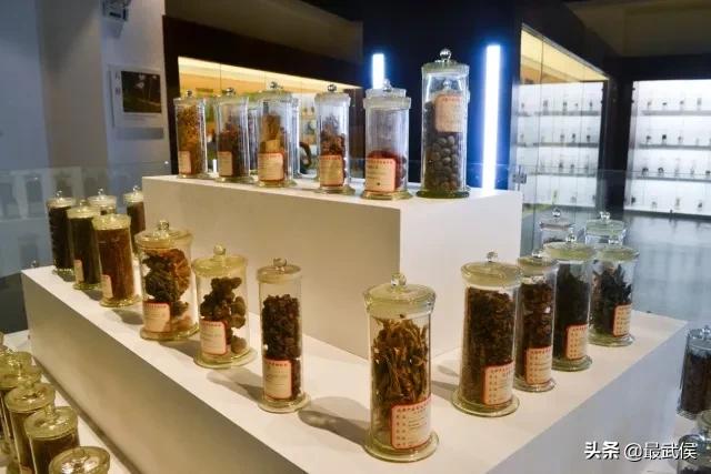 成都中医药大学，不能再低调了！