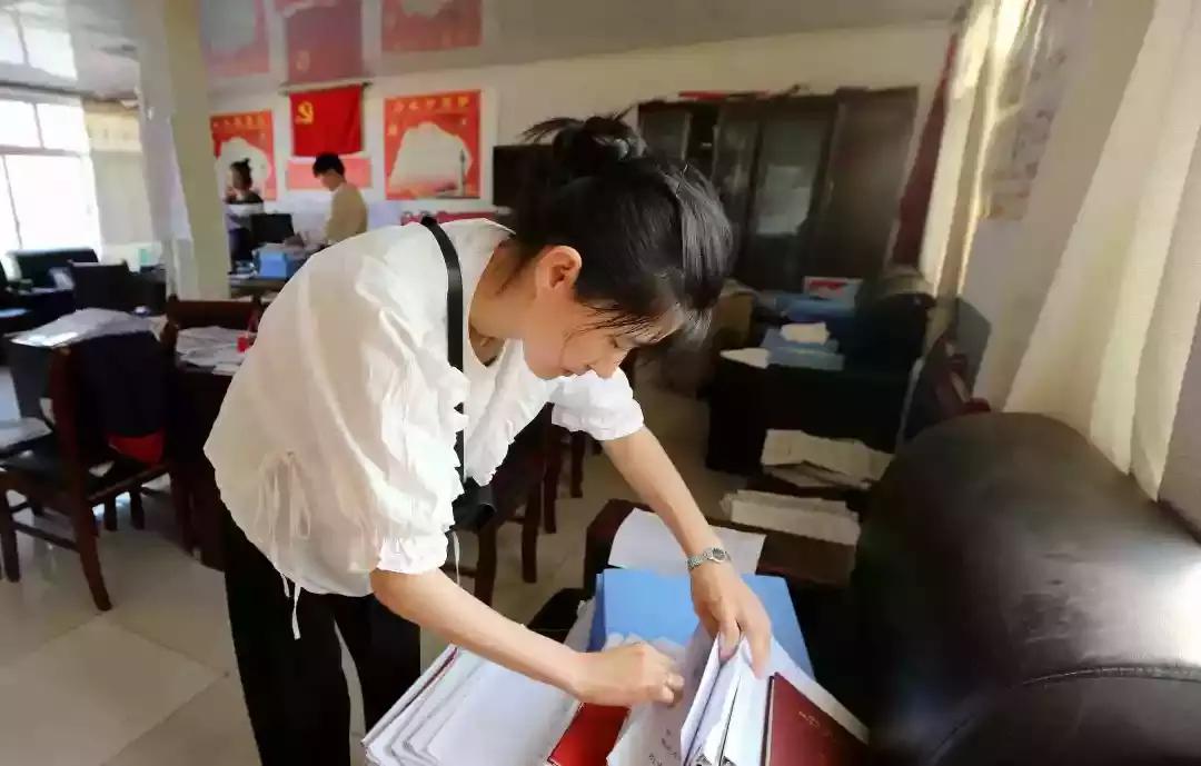 奈曼三花猫,奈曼三金