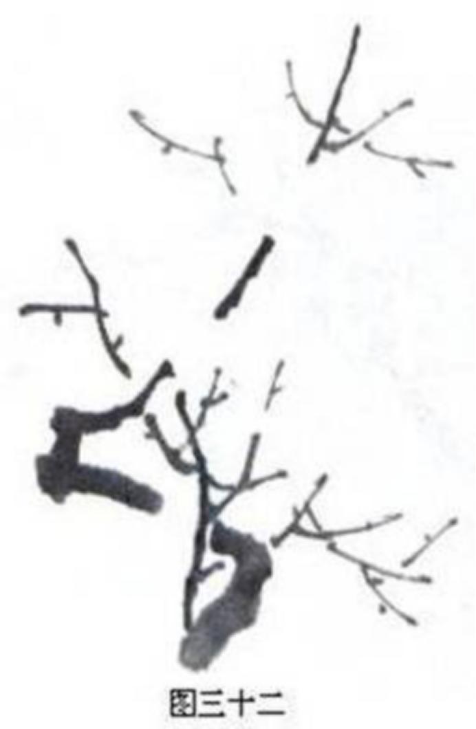 梅花画法简笔画,梅花画法的视频