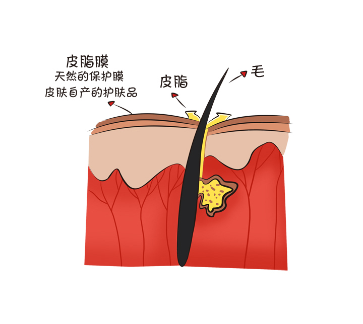 冬季护肤解决宝宝三大皮肤问题,宝宝冬季护肤三招让脸蛋不皲裂