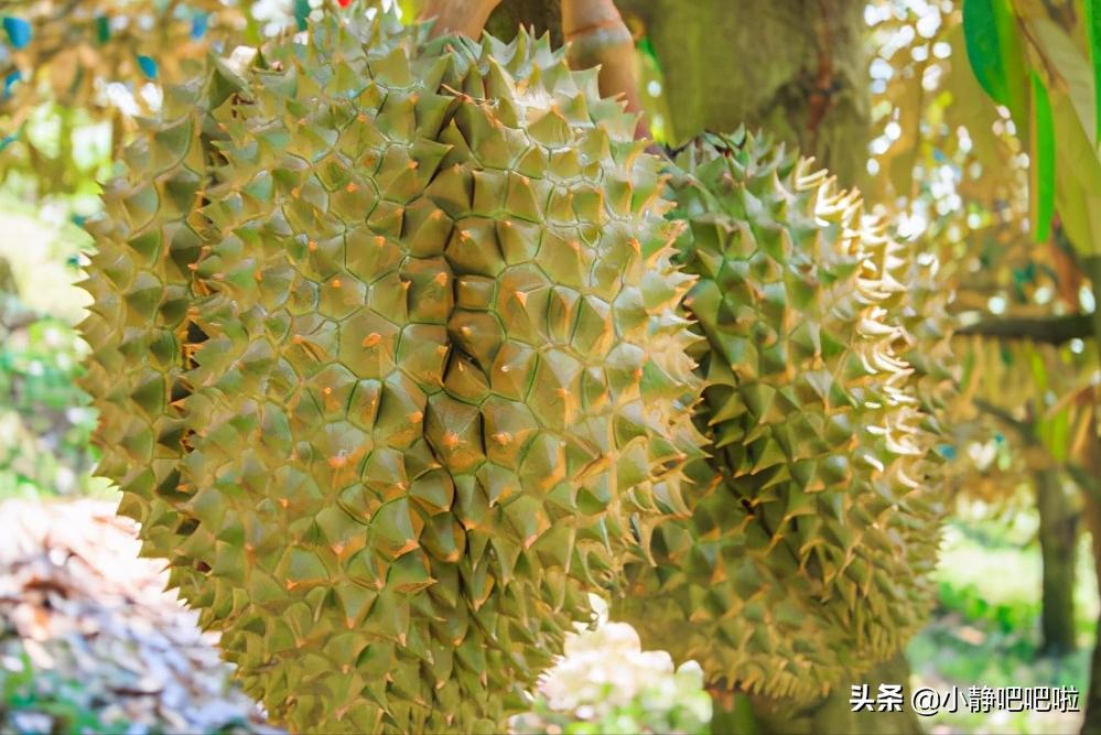 你不知道的国家冷知识摩洛哥,印度尼西亚颠覆你的认知