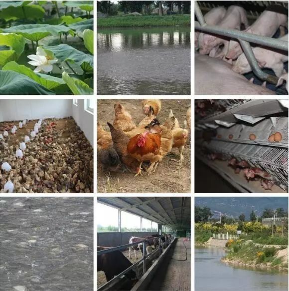 万达农业投资,万达布局新农业