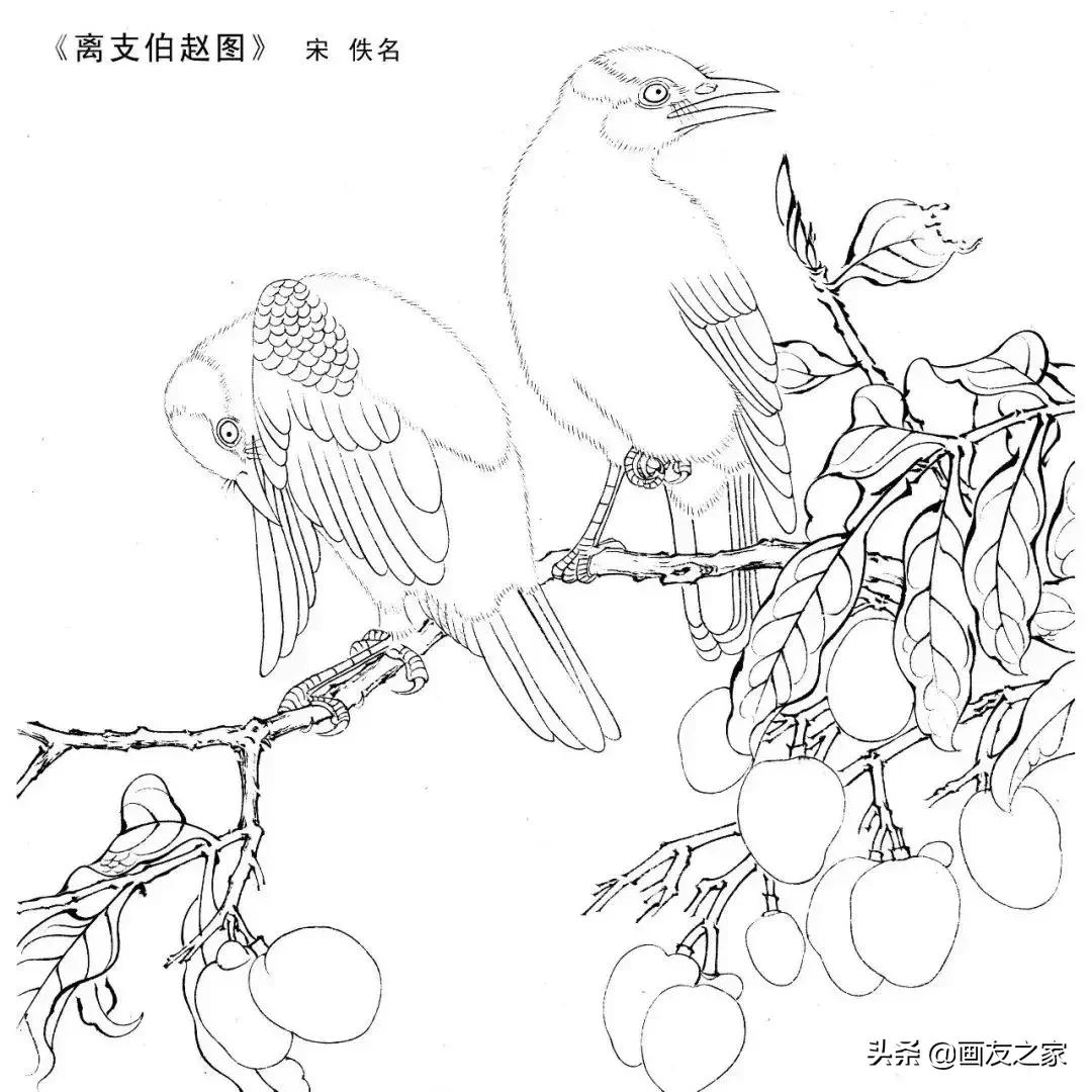 宋花鸟工笔画高清大图临摹过程,宋画工笔画花卉上色教程