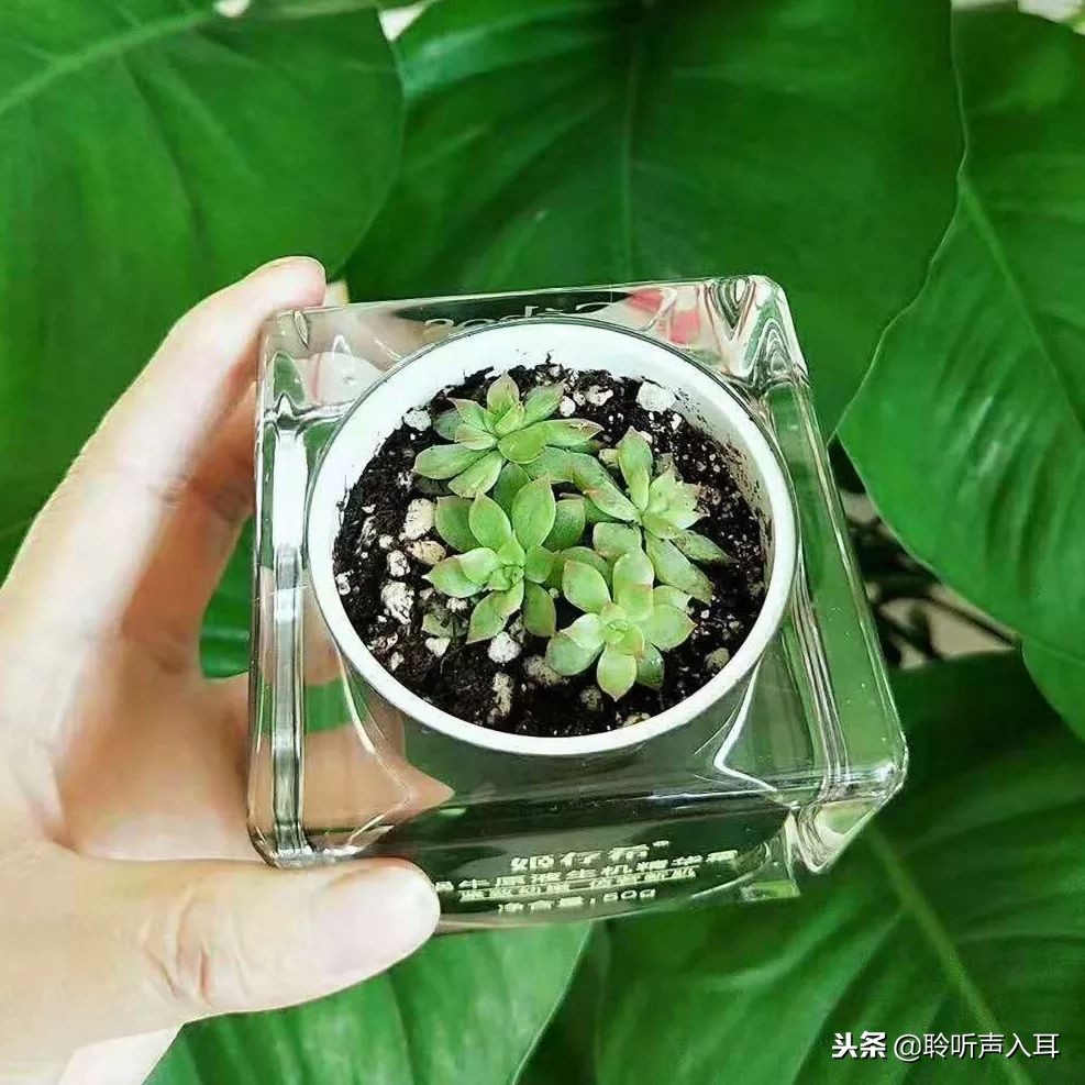 保护护肤品,保护护肤