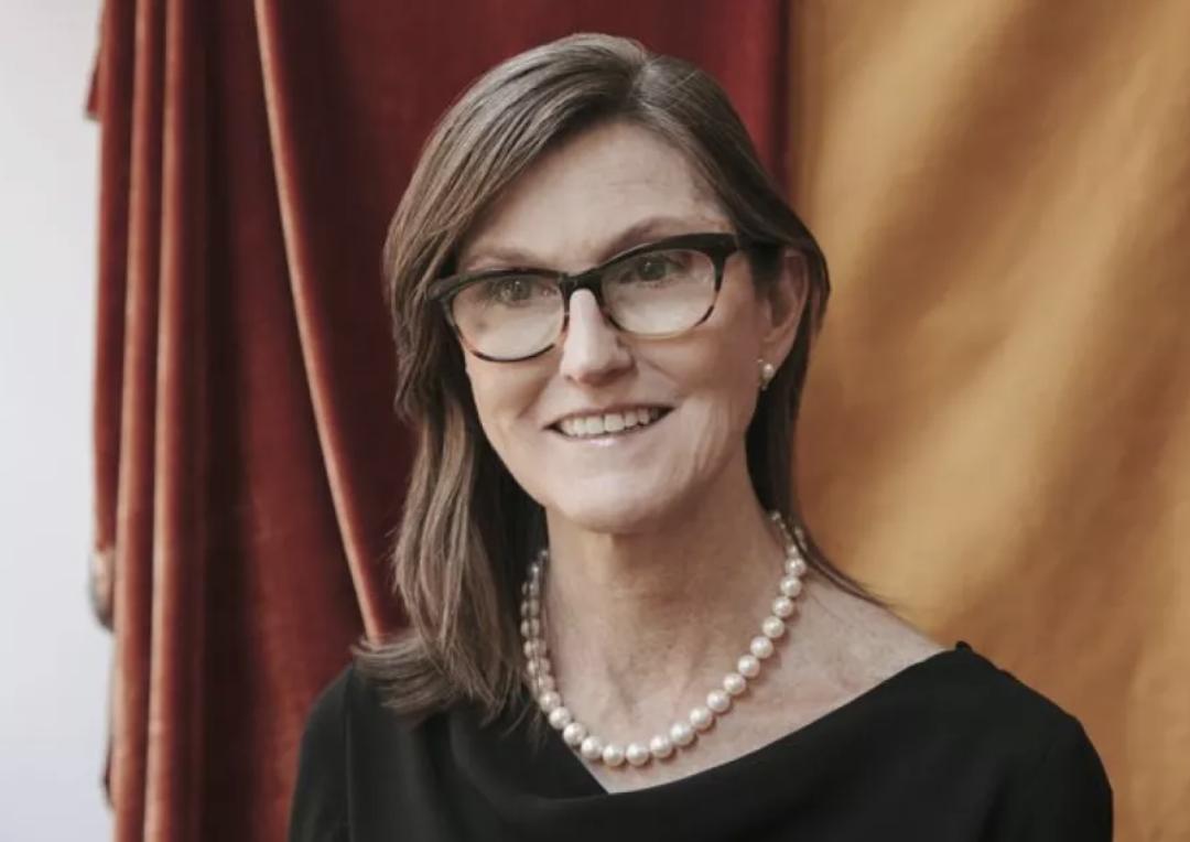 木头姐创业经历,58岁创业成功