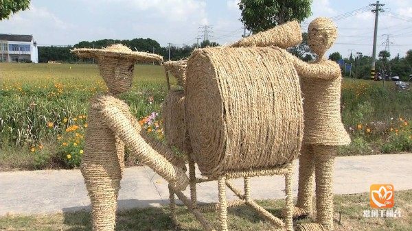 千亩稻田美如画谷穗飘香迎丰收,百亩良田稻飘香图片