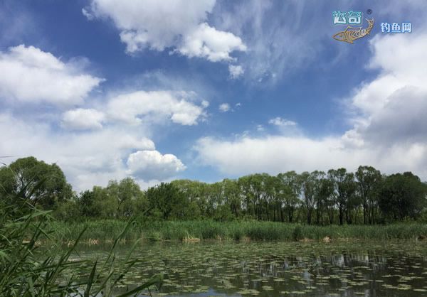 碰到鱼有什么预兆,遇到鱼起浮可以打浮吗