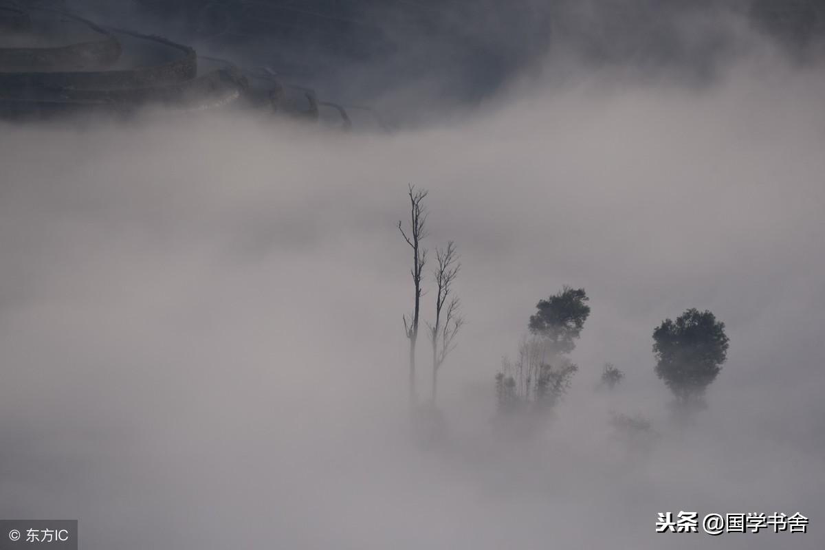被人隐晦诽谤怎么办,被人背后诋毁怎么释怀
