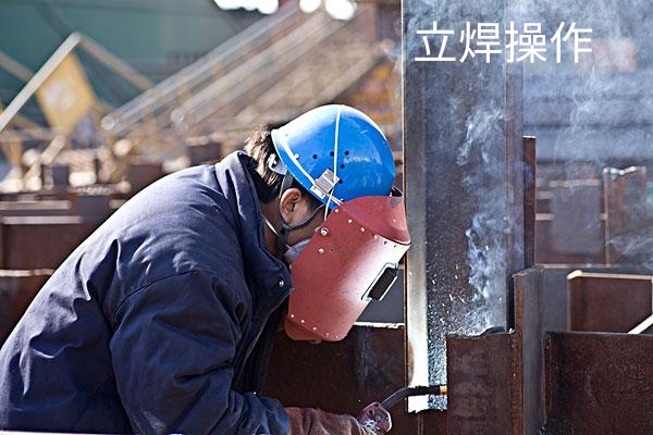 我的职业生涯完整视频,我的职业生涯是什么