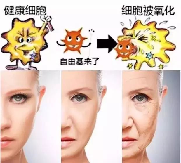 抗皱纹抗老小妙招,30岁后的面部抗老思路