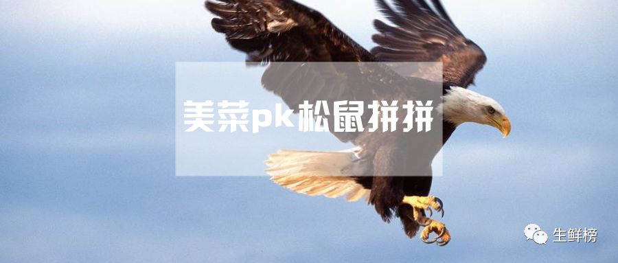 松鼠拼拼是啥,松鼠拼拼商品