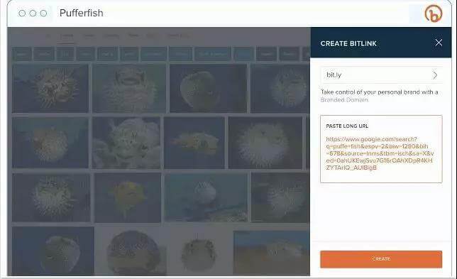 chrome扩展程序管理,哪些好用的chrome扩展程序