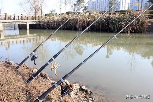 钓鲶鱼的最好方法,钓鲶鱼的方法和技巧