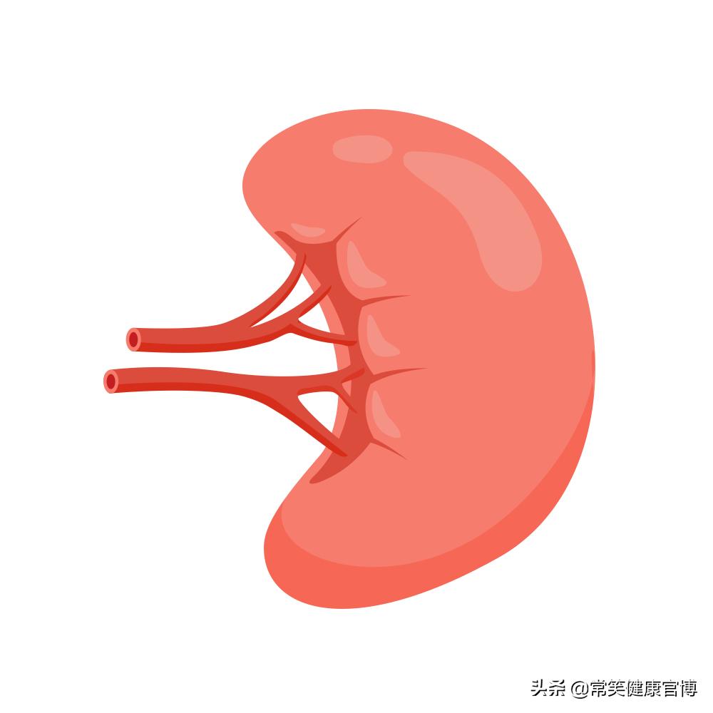 肝脏强脾弱症症状,肝脏功能减退导致脾大