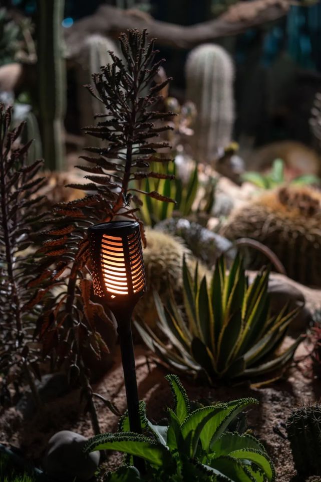 鑳″潎,鑳″潎鍒