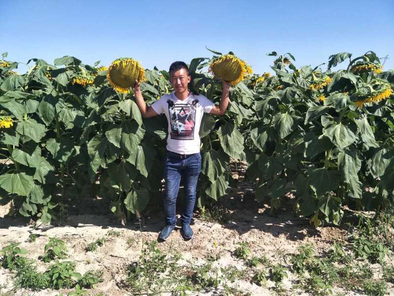 记录生活致敬平凡而努力的人们,记录生活乡村守护人