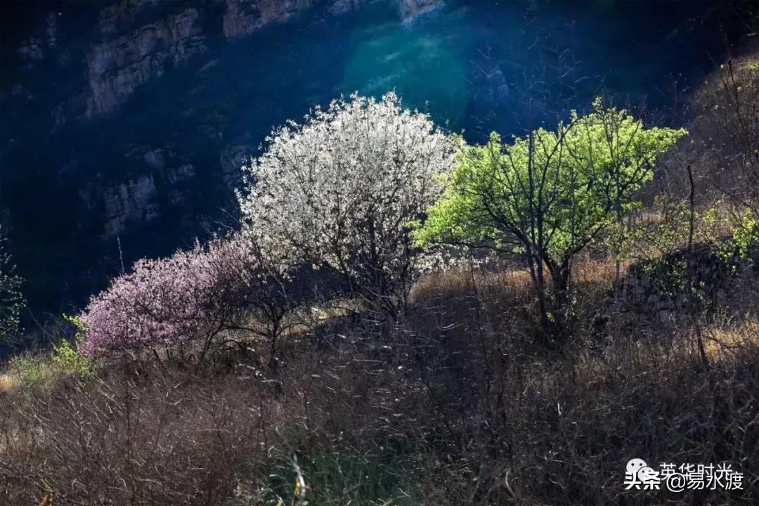 易县好看的视频,易县哪儿的好看