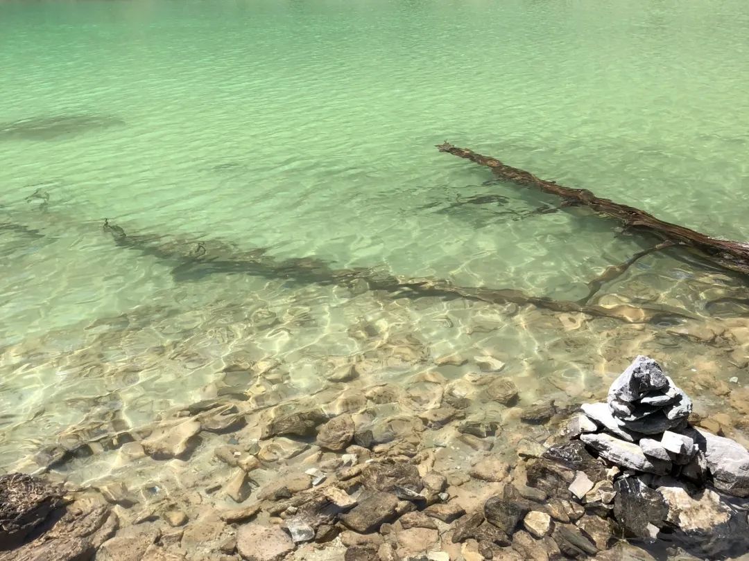 稻城亚丁这里有你想要的诗和远方,在稻城亚丁视频