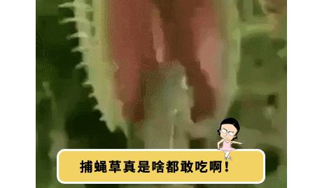 为什么有人拉屎会流眼泪,拉屎流眼泪是病吗