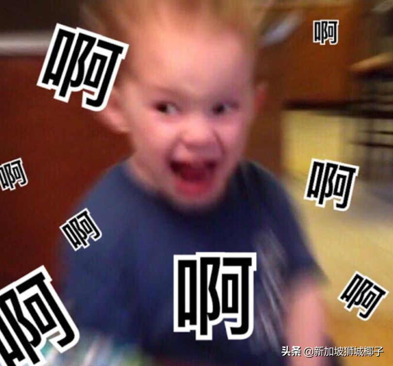 新加坡计算机行业年终奖,新加坡行业薪资排行榜