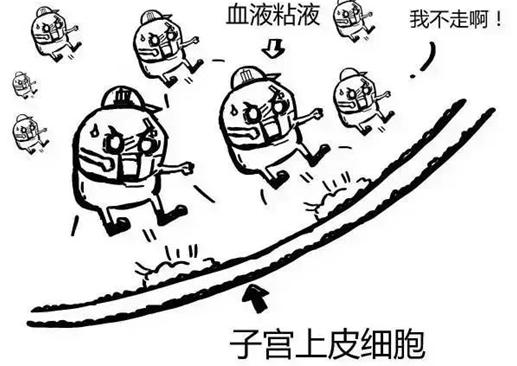 狗狗也会有“大姨妈”？！狗狗发情期需要注意什么？